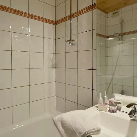Divisible Lumineux, Proche Pistes, Balcon, Animaux Admis - Fr-1-181-2385